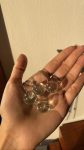 dandelion globes-min