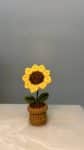 Sunflower Mini Pot