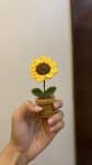 Sunflower Mini Pot