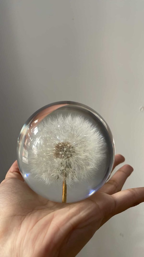 Dandelion paper weight - Image 5