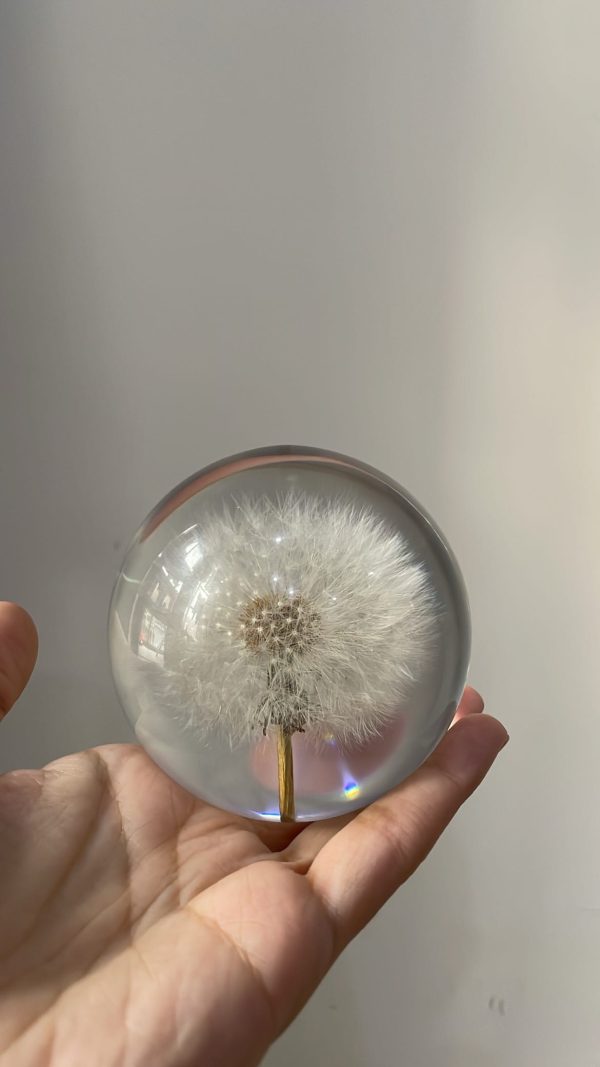 Dandelion paper weight - Image 2