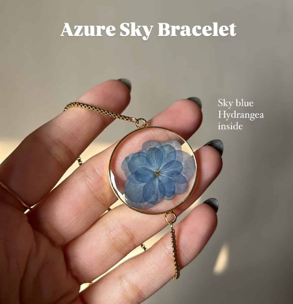 Special Hydrangea Bundle - Image 7