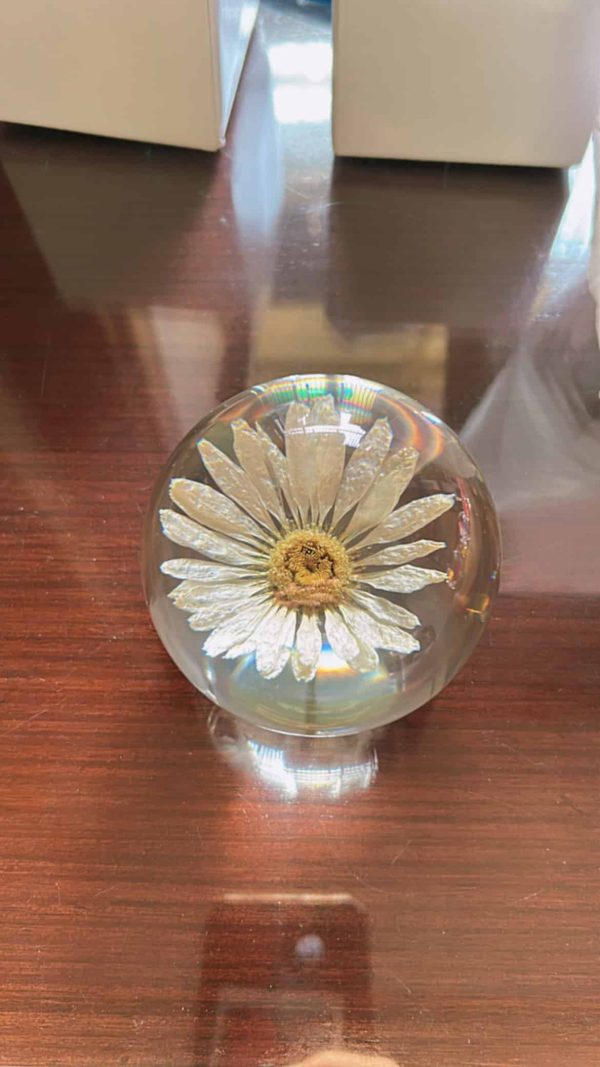 Daisy Paper Weight - Image 2