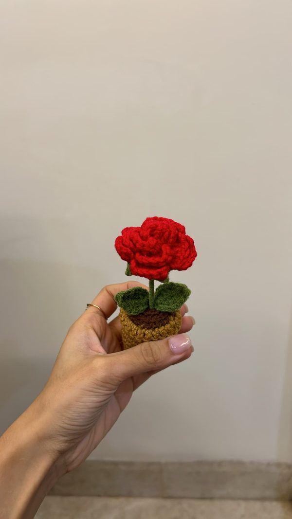 Forever Rose Pot - Image 3