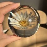 Daisy Paper Weight