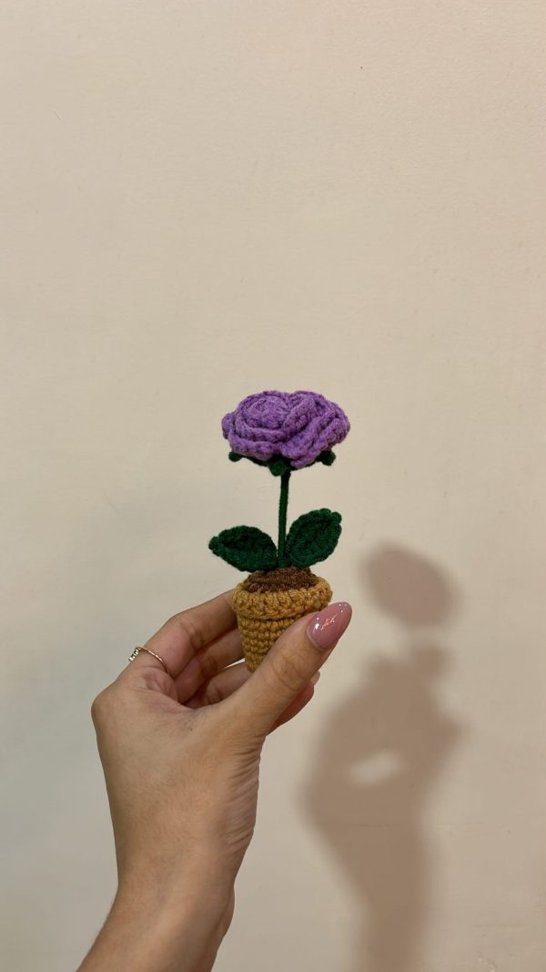 Forever Rose Pot: Purple - Image 4