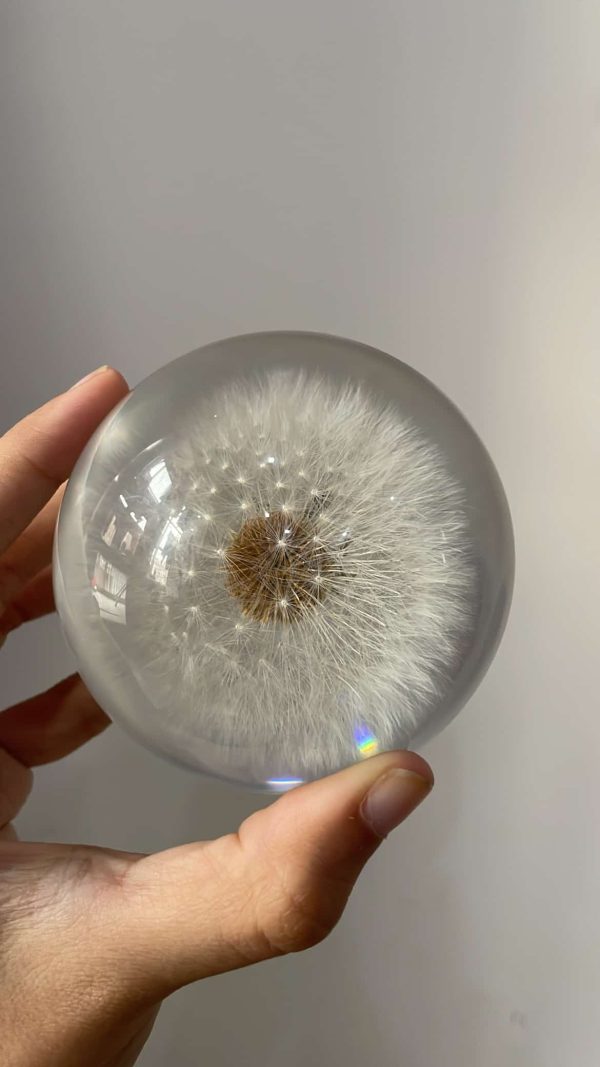 Dandelion paper weight - Image 3