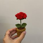Forever Rose Pot