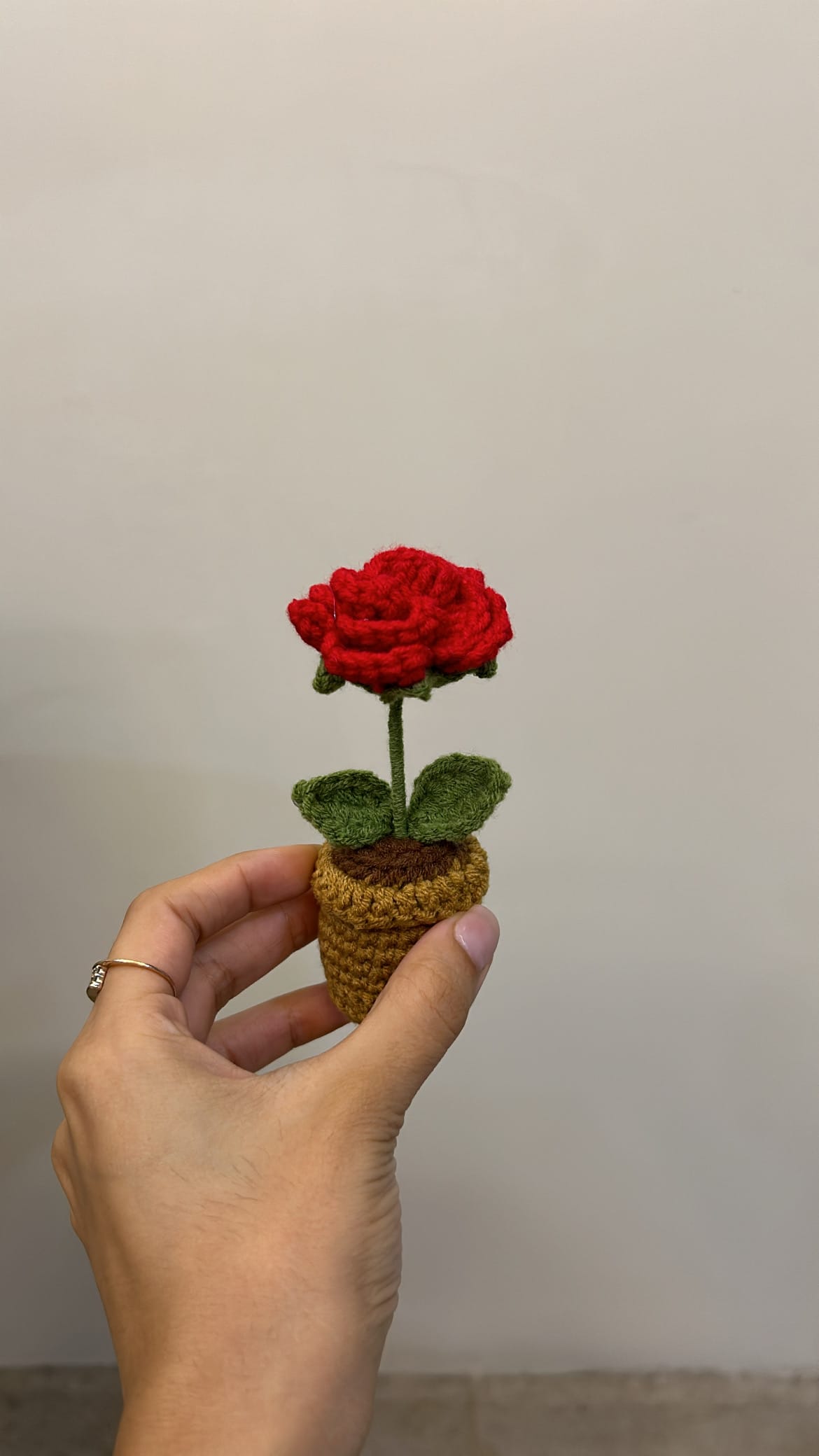 7BD78042-C764-4BBC-8FD5-EA0A0563B084-1.jpg Forever Rose Pot - Image 1