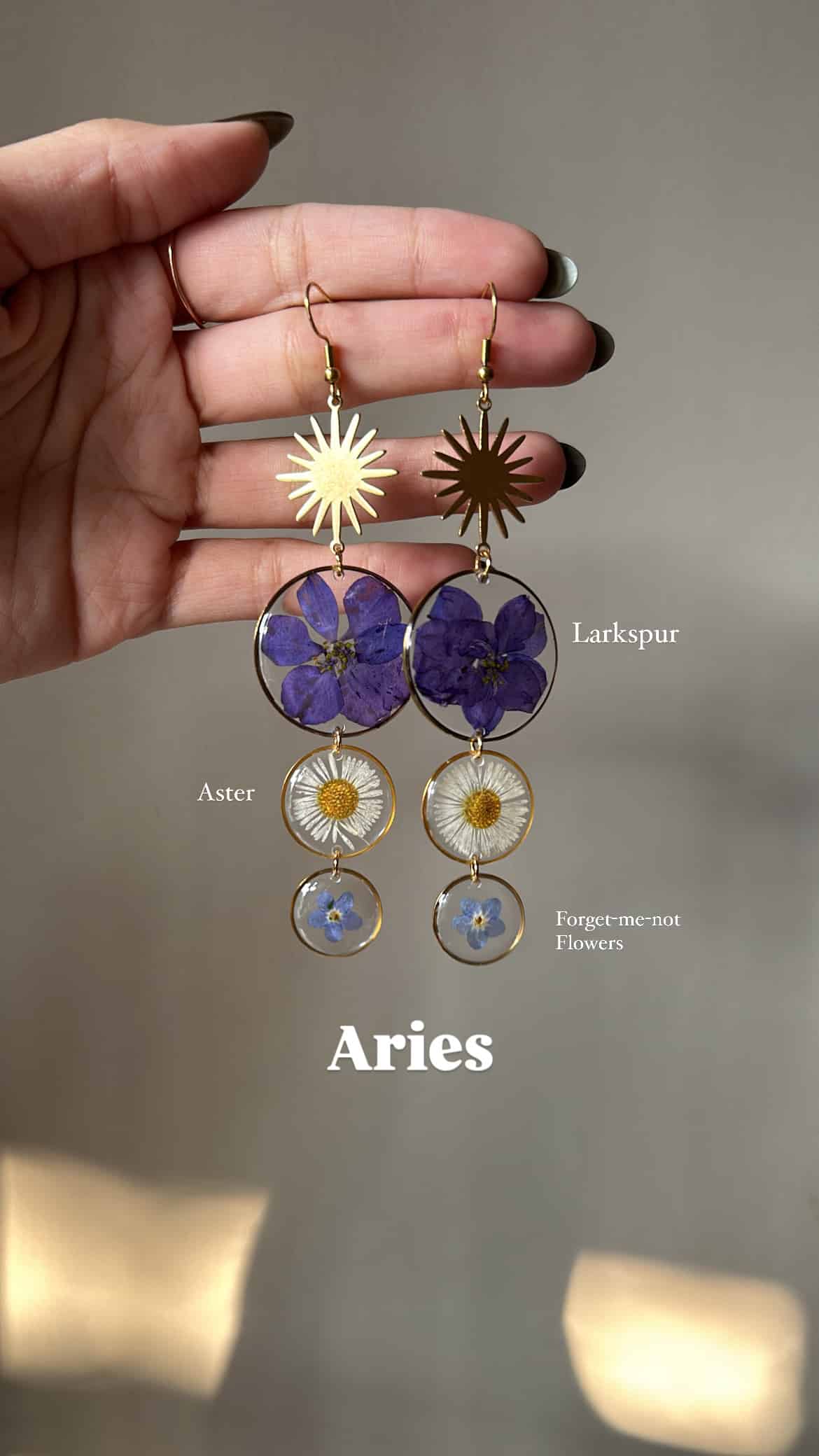 9E1479B0-7C86-4670-89EB-62EA90127519-1.jpg Aries - Image 1