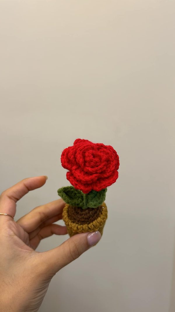 Love Bundle - Image 2