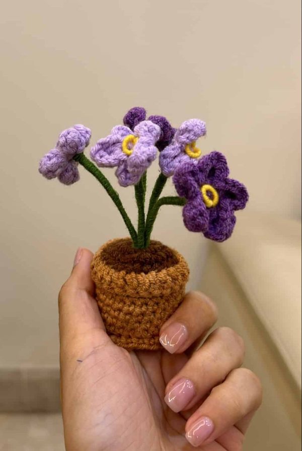 Eden's Garden - Image 4