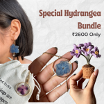 Special Hydrangea Bundle