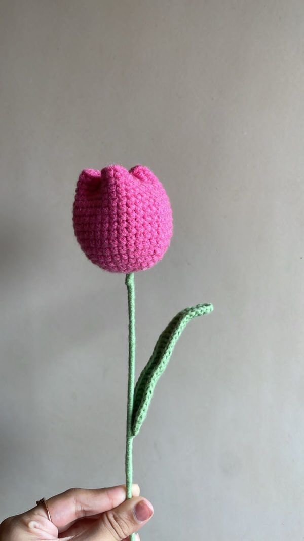 Tulips: Set of 5 (Mixed shades) - Image 4