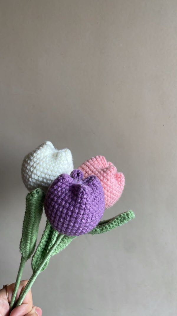 Tulips: Set of 5 (Mixed shades) - Image 3