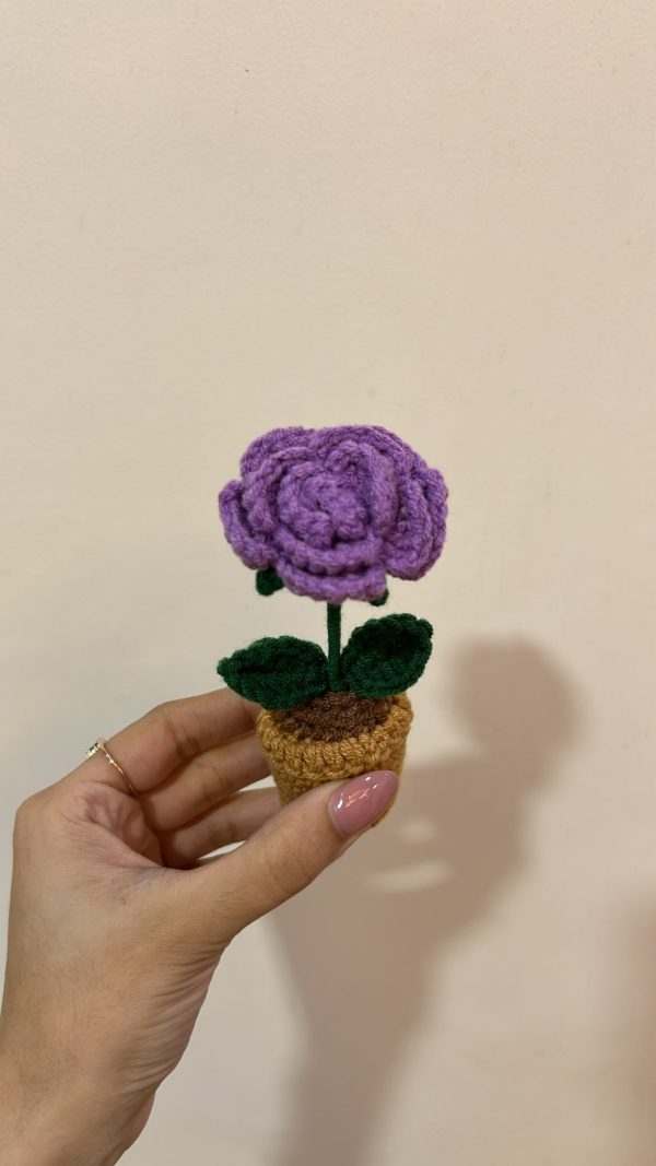 Forever Rose Pot: Purple - Image 2