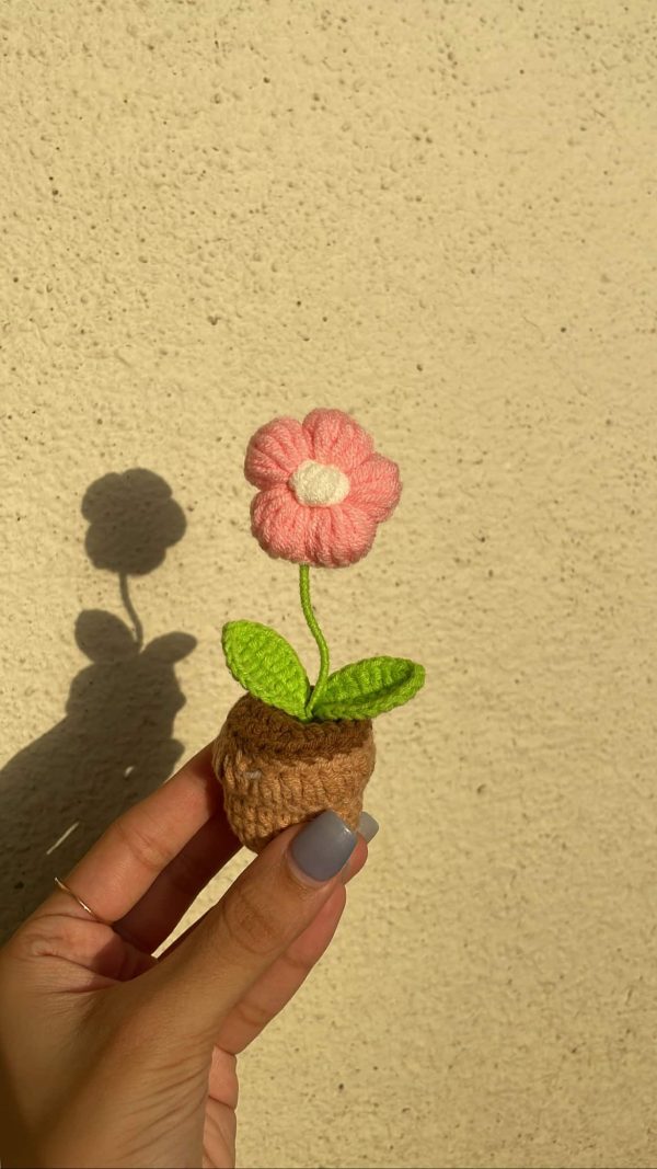 Plum Blossom Pot - Image 2