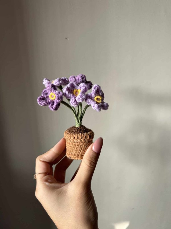 Eden's Garden - Image 6