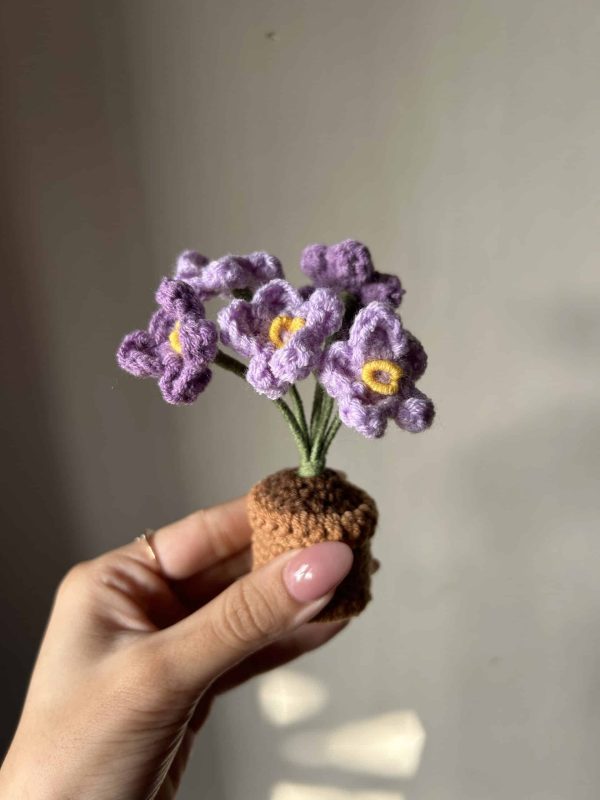 Eden's Garden - Image 5