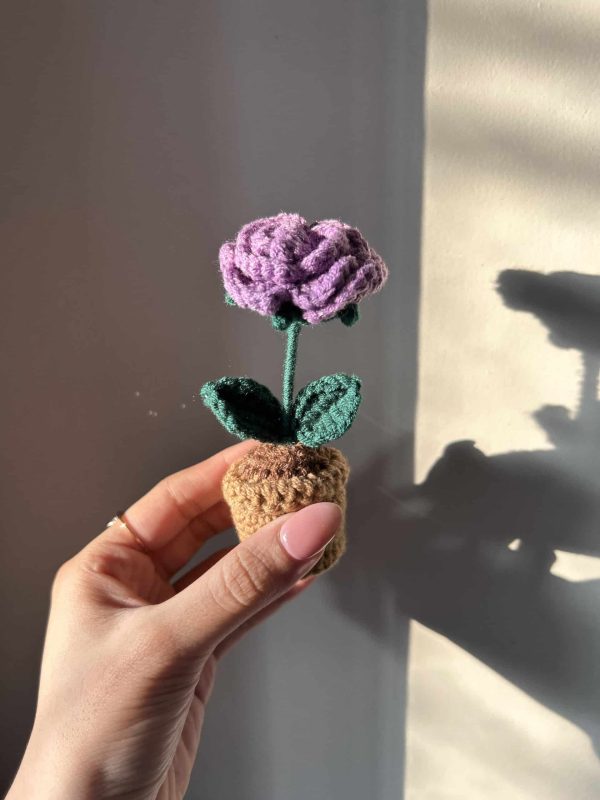 Forever Rose Pot: Purple - Image 3