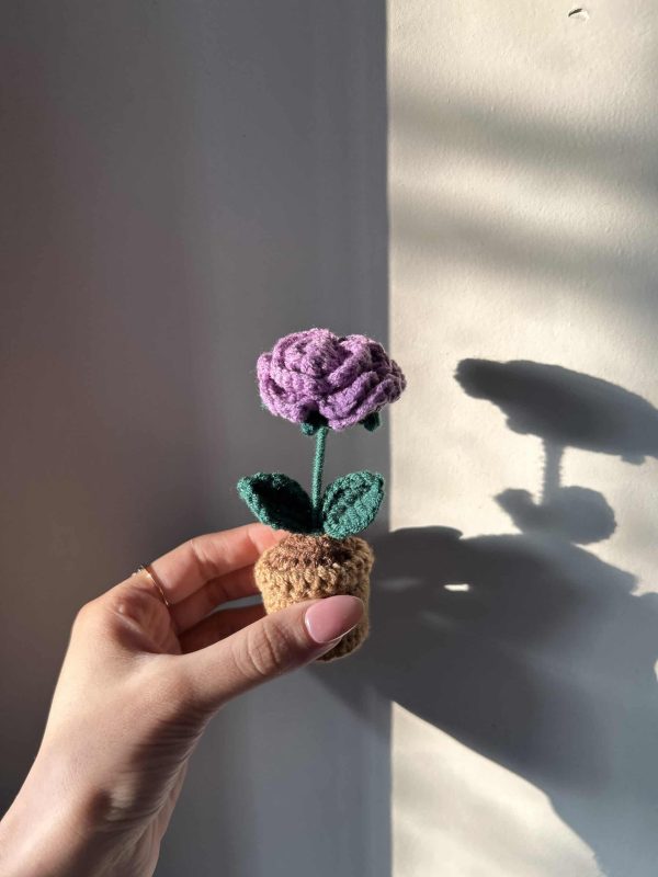 Birth Moon Bundle - Image 4