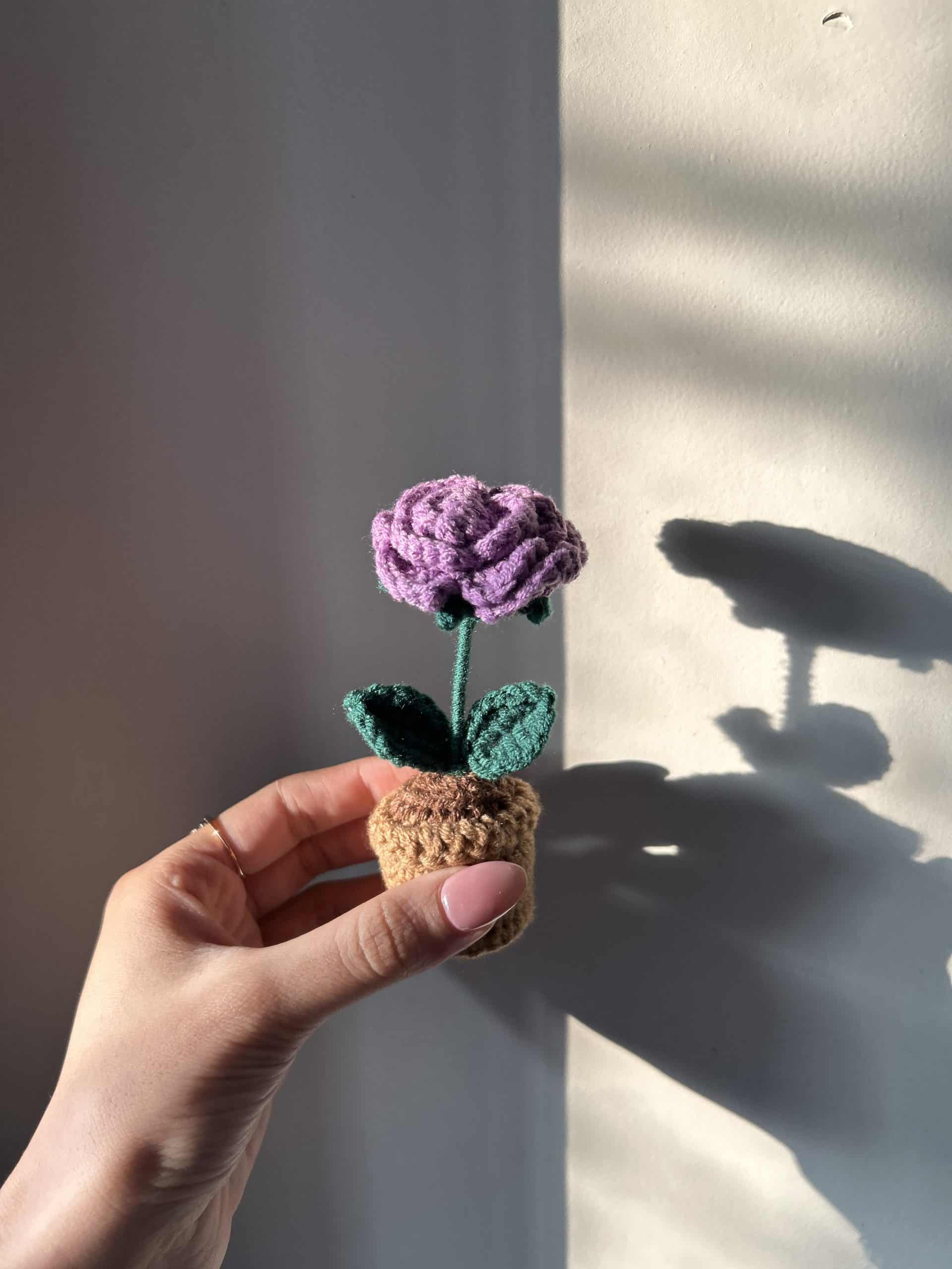 IMG_1999-scaled-2.jpg Forever Rose Pot: Purple - Image 1