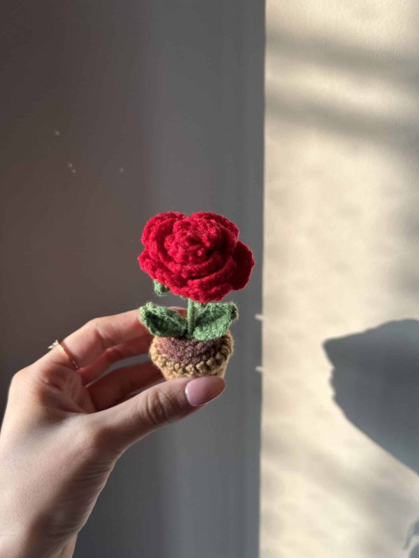 Birth Moon Bundle - Image 5