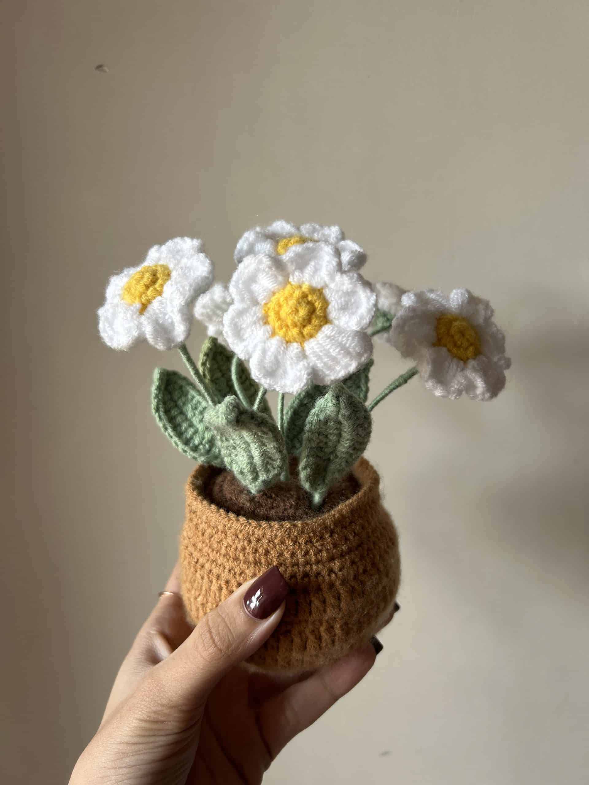 IMG_3348-scaled-2.jpeg Bunch of Daisies - Image 1