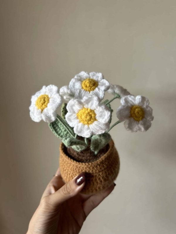 Bunch of Daisies - Image 3