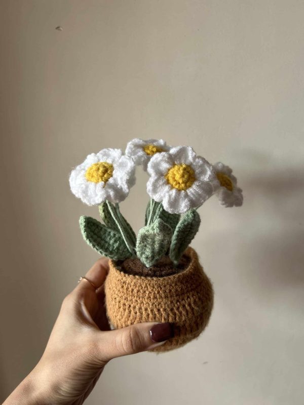 Bunch of Daisies - Image 2