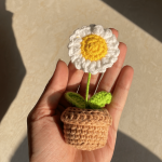 White Daisy Pot