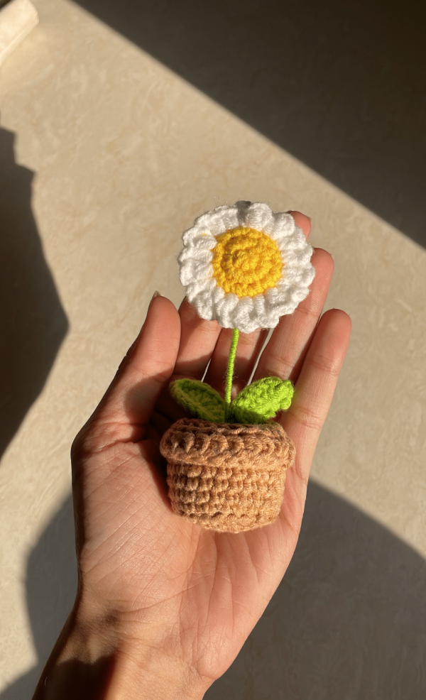 Birth Moon Bundle - Image 9