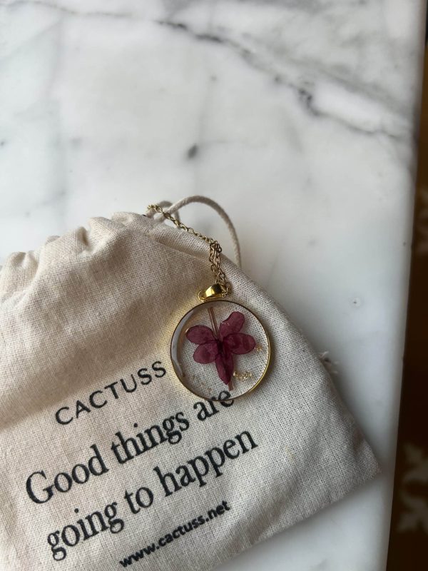 Meaningful Bundle - Image 3