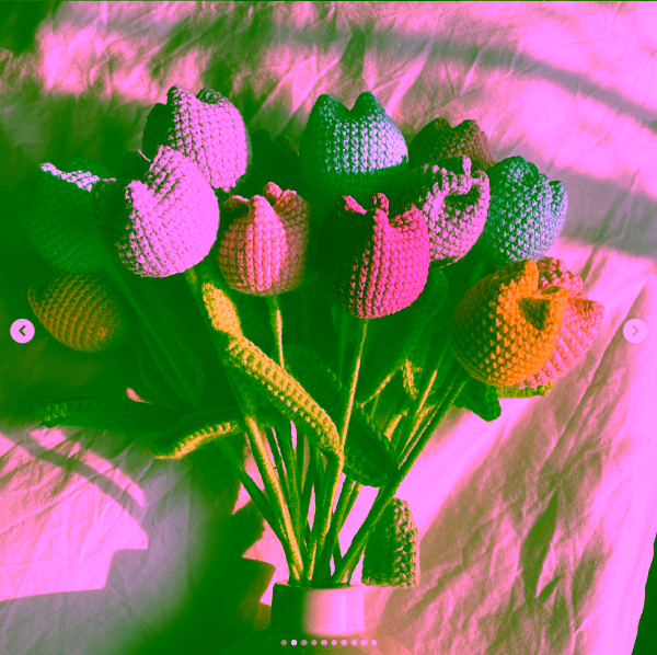 Tulips: Set of 5 (Mixed shades) - Image 2