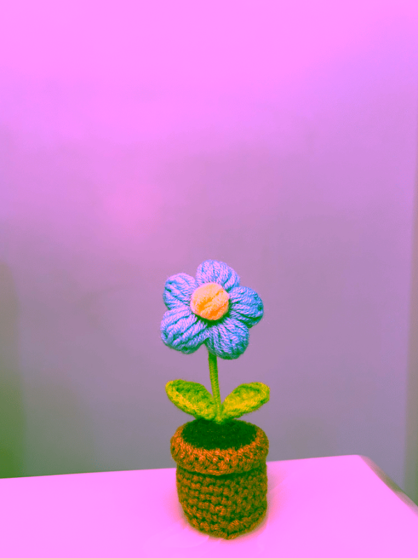 Forget-me-not Pot - Image 2