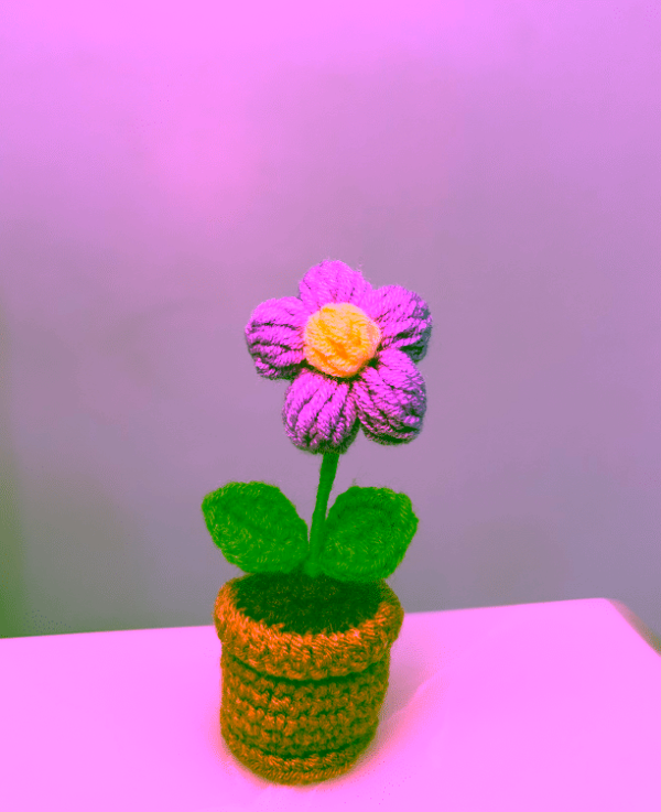 Plum Blossom Pot - Image 7