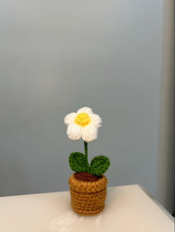 Plum Blossom Pot - Image 6