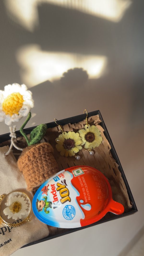 Sunshine Box - Image 3