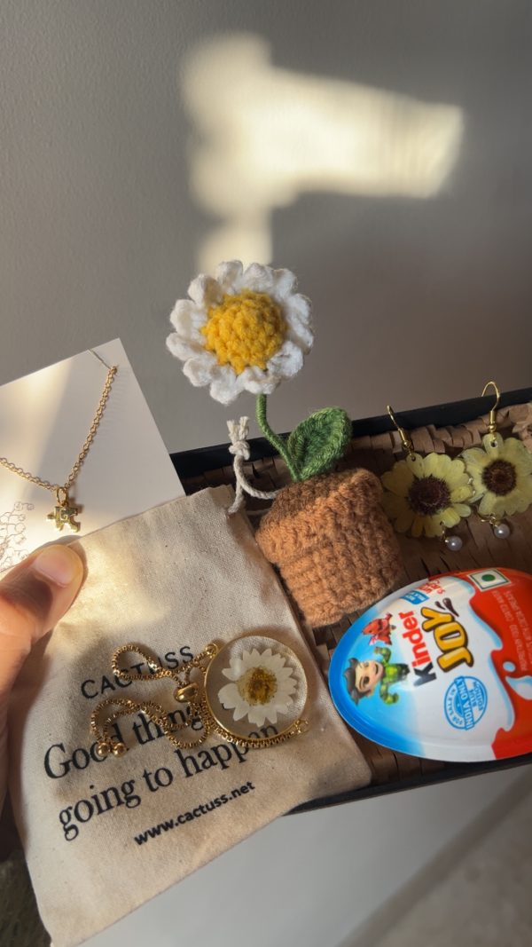 Sunshine Box - Image 4